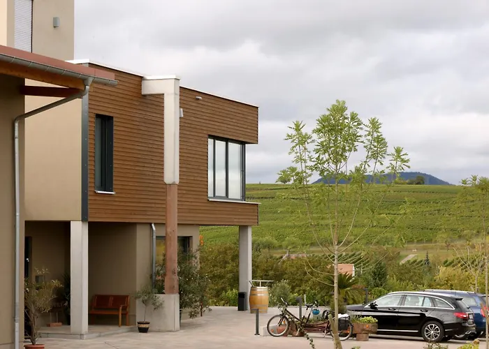 Voegelis Weinnest 酒店 朗道因德普法尔茨