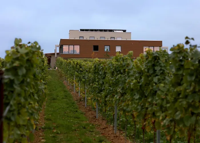 Voegelis Weinnest 酒店 *